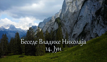 Беседе владике Николаја за сваки дан у години - 14. Јун