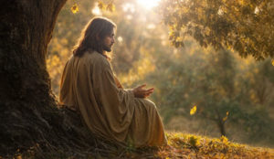 Божији Промисао и Тајна Свеопштег Преображења