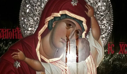 Мајка која не заборавља: Шапат у Буци Света