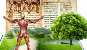 Више од привремене куће: Тајна нашег тела